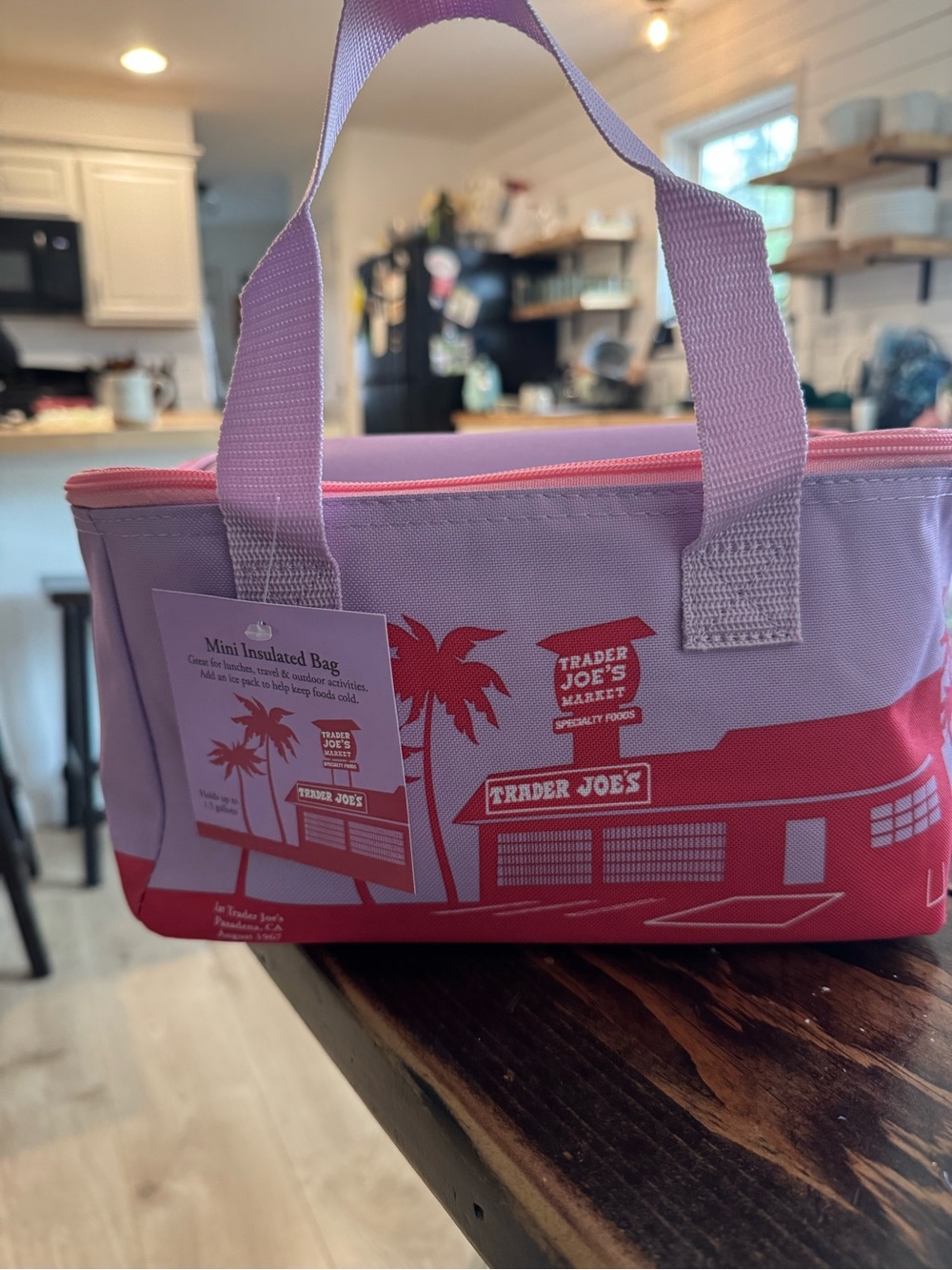Trader Joe’s Insulated Lunch Box NWT